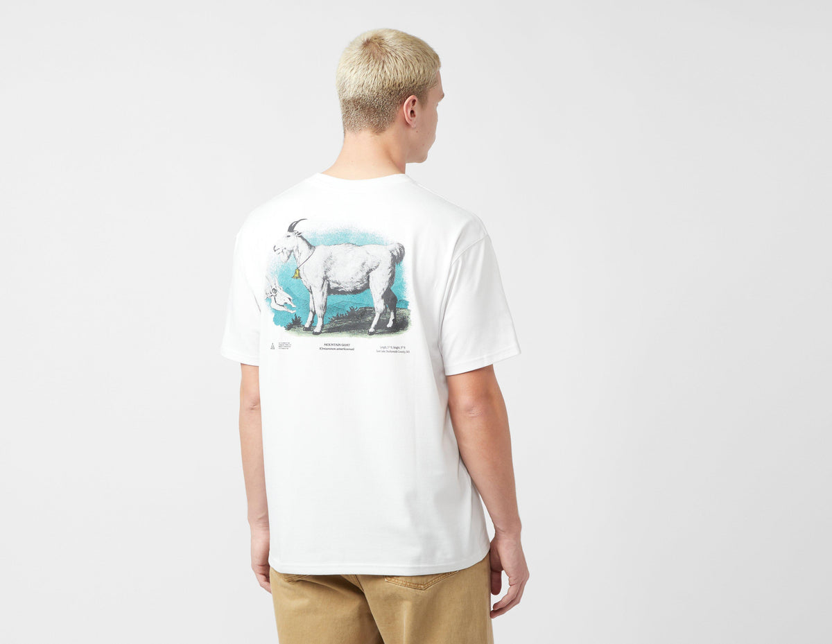 Nike ACG Dri-FIT Goat T-Shirt