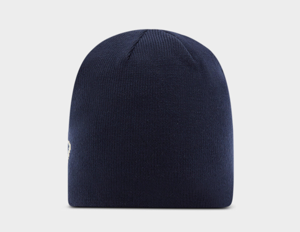 Dickies Summerdale Beanie