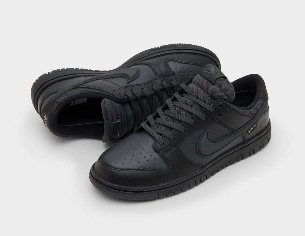 Nike Dunk Low GORE-TEX